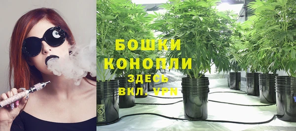 spice Балахна