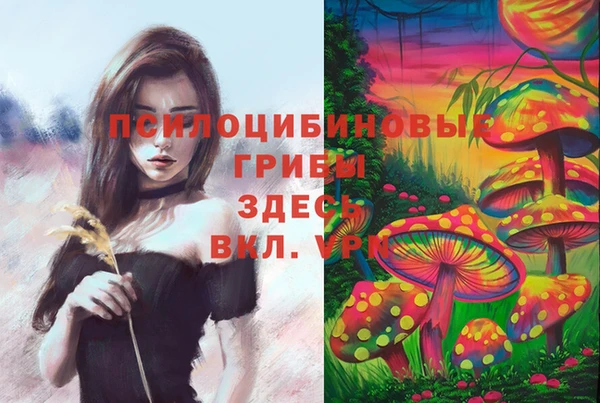 бошки Баксан